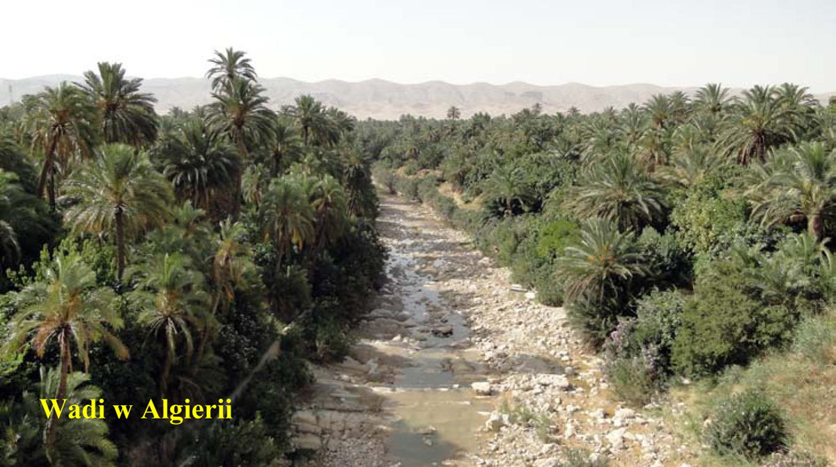 Wadi w Algierii